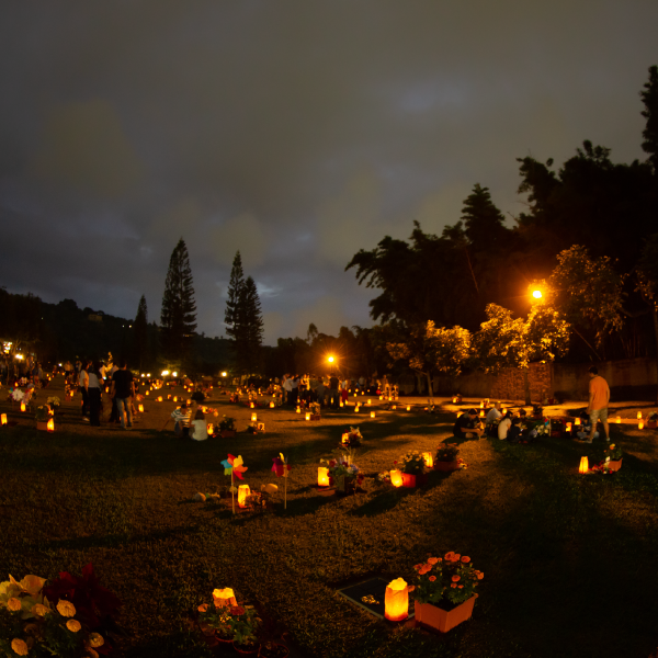 Noviembre 10