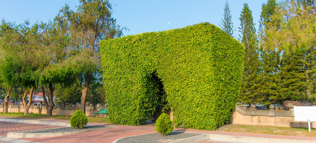 Cementerio 4