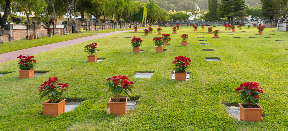 Cementerio 10