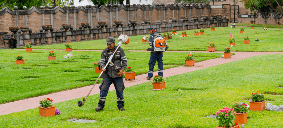 Cementerio 8