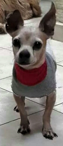 1435340322