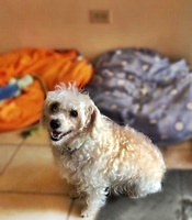 1591821793   lucky cartagena
