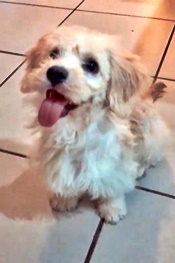 1591910704 nala flores