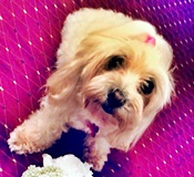 Nala ruiz paz
