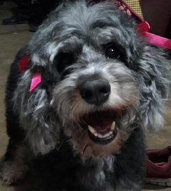 Luna de katherine