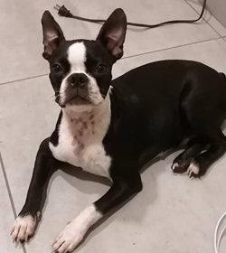 Molly %c3%81lvarez beltr%c3%a1n