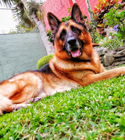Zeus rivas