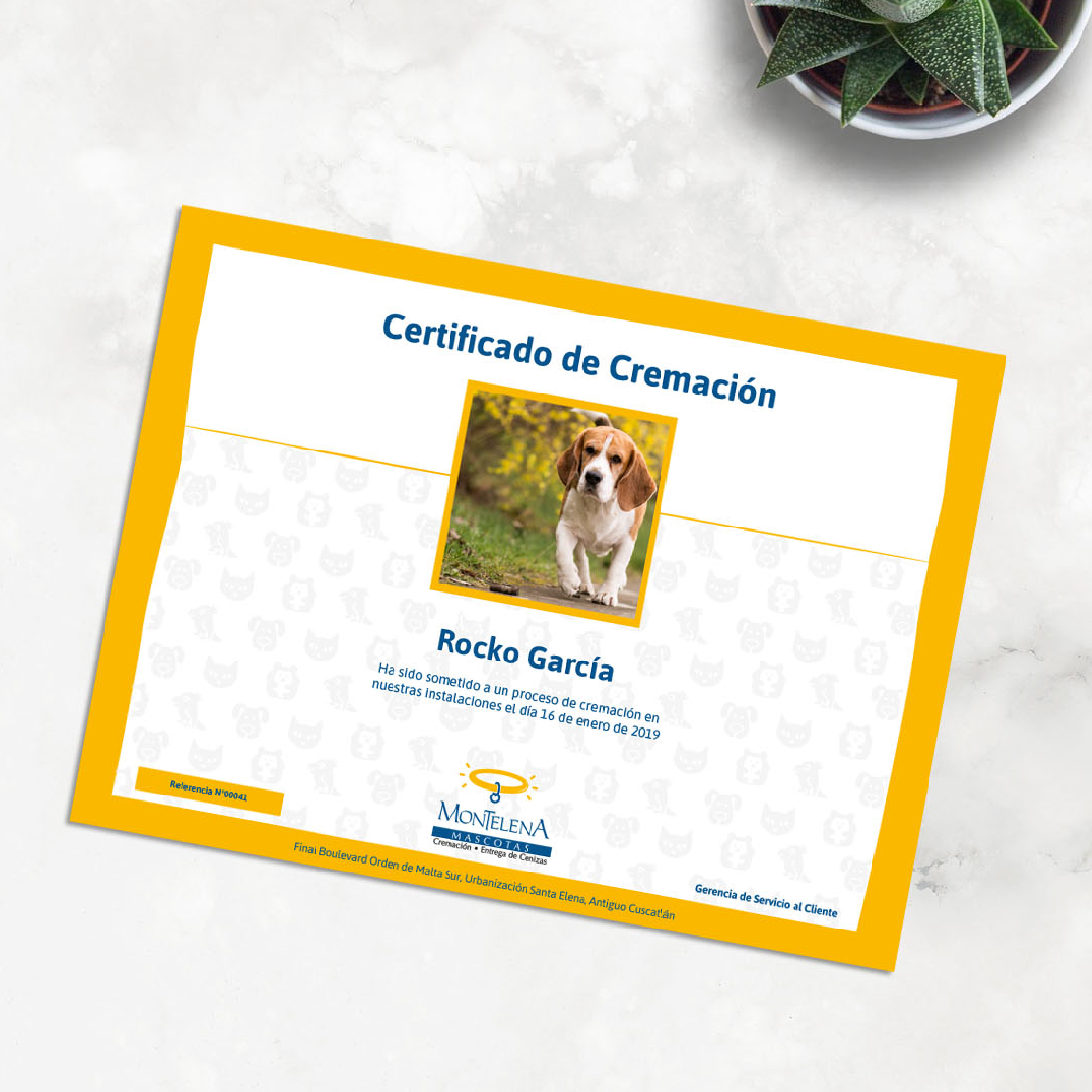 27. certificado