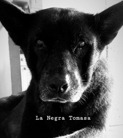 Negra rivera