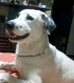 Molly ch%c3%a1vez velasco
