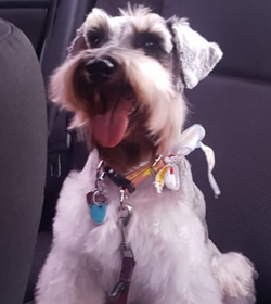 Coco bonilla