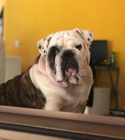 Benjamin