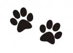 Patitas