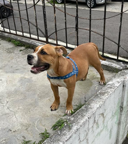 Zeus hern%c3%a1ndez