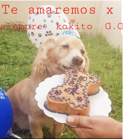Koki guatemala obituario