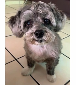 Blacky guerrero