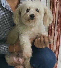 Flufy lopez alfaro