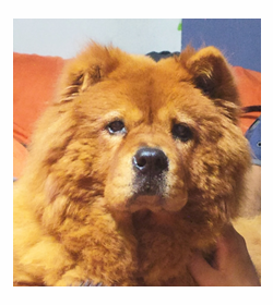 Winnie men%c3%a9ndez