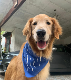 Blake %28drake%29 cerritos