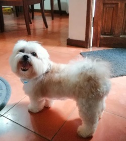 Bilbo granadino