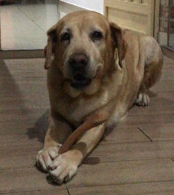 Nalla del valle