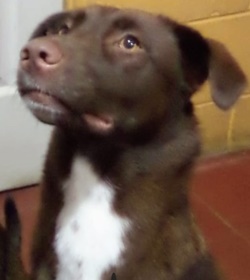 Athena sol%c3%b3rzano azahar