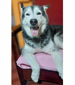 Sheyla garc%c3%ada