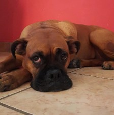Luna tovar.jfif