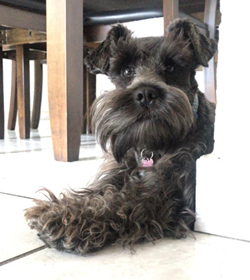 Nala lopez mart%c3%adnez