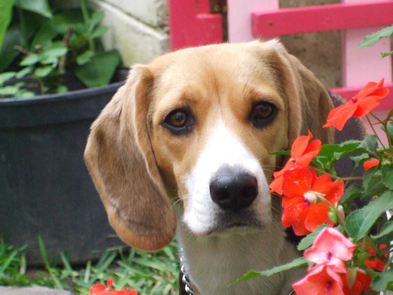 Molly castro