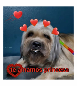 Princesa