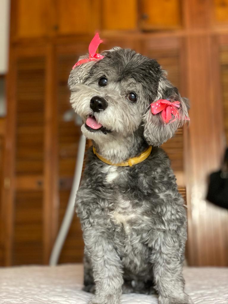Missy urrutia