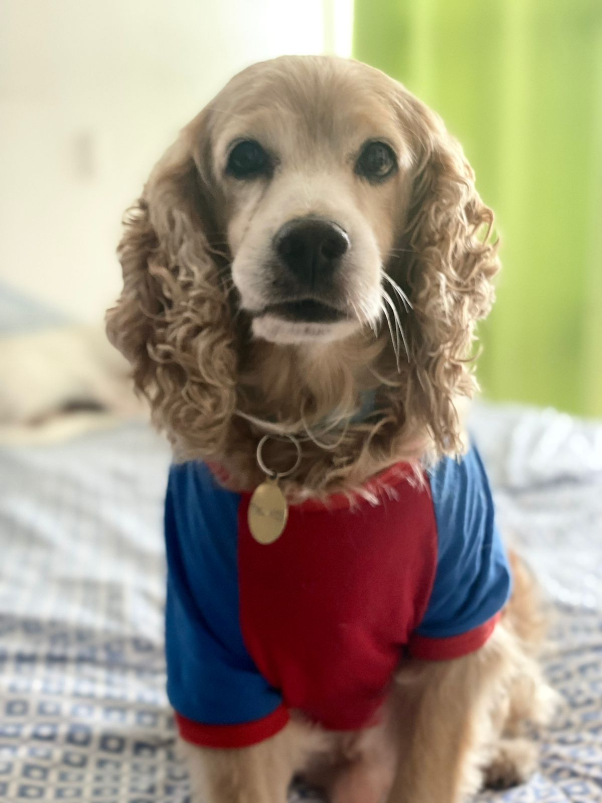 Cockie ramirez medina
