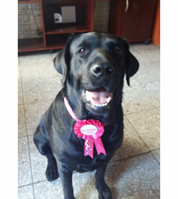 Nina l%c3%b3pez montalv%c3%a1n