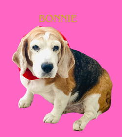 Bonnie uma%c3%b1a