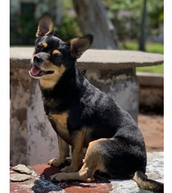 Pancho gasteazoro