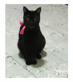 Princesa martinez