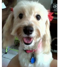 Cookie quezada urrutia