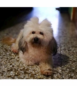 Molly rodr%c3%adguez