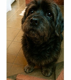 Blacky garcia