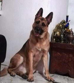Bruno mel%c3%a9ndez botto