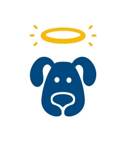Perrito