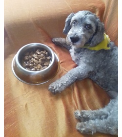 Toffie madrid