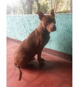 Afrodita lemus