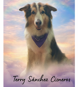 Terry s%c3%a1nchez