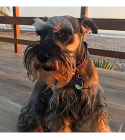 Pepper ortiz