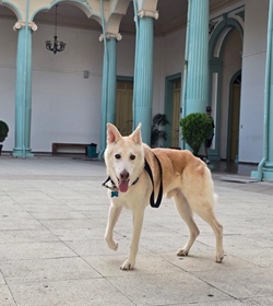 Chelito cativo rodriguez