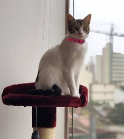 Bella mar%c3%ada aparicio