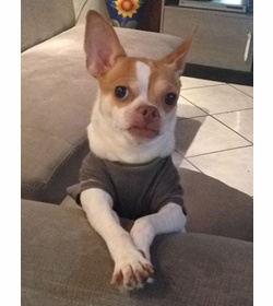 Bruce mejia mena