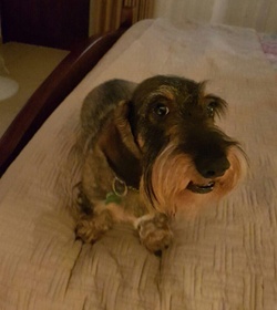 Whisky perla